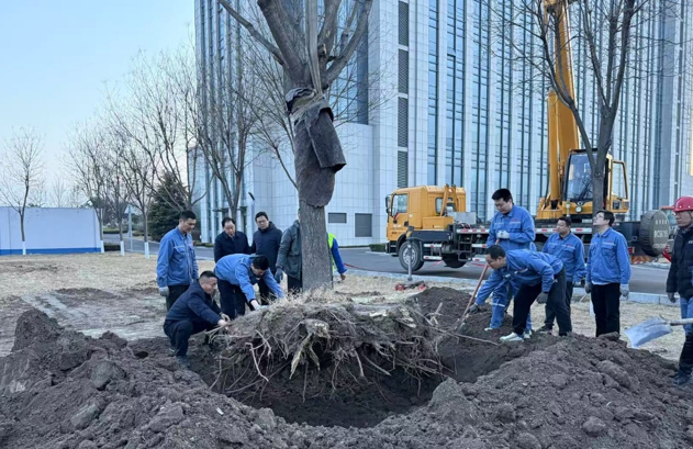 栽下新春第一樹